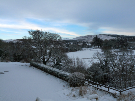 Bonner of Ireland - Location 2b